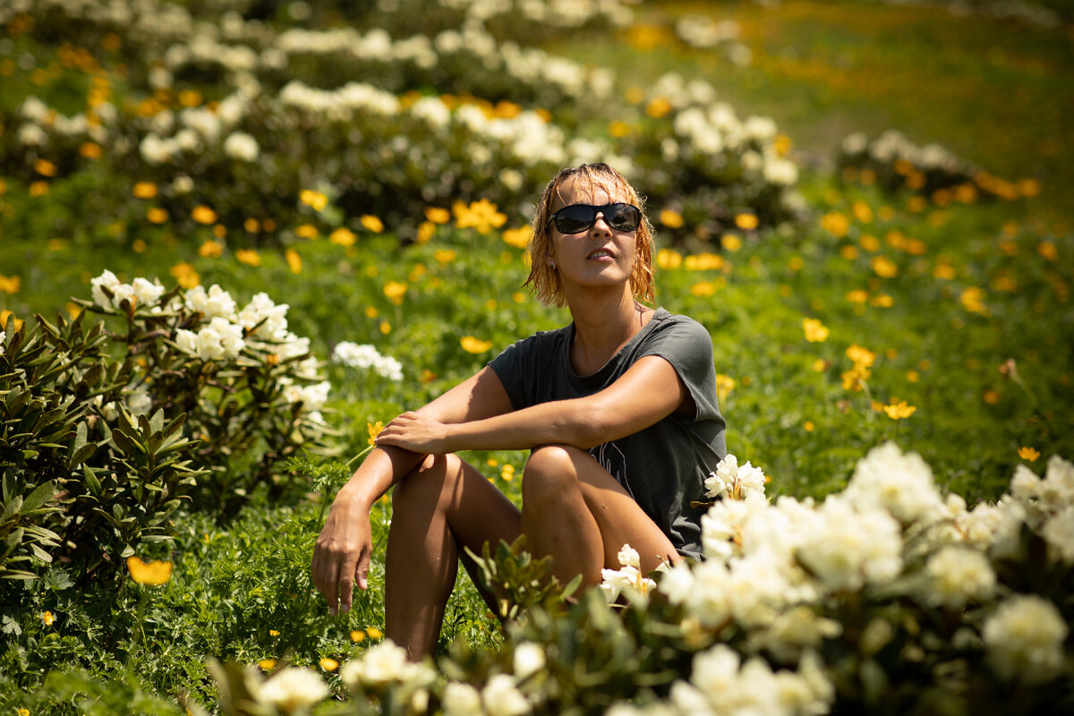 рододендроны на Бзерпинском карнизе