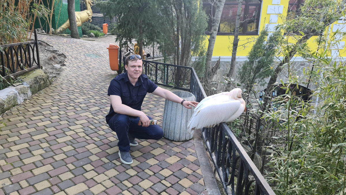 Расскажу, какие впечатления после него у меня остались. Достоинства и недостатки.