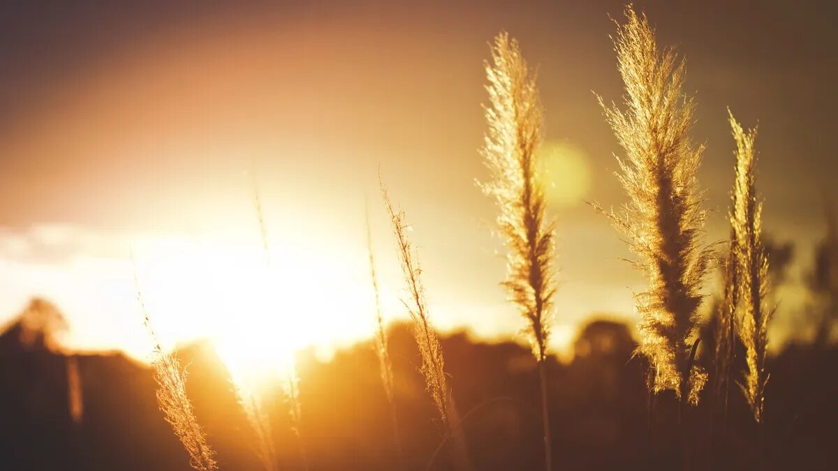 28 апреля ожидается длительный штиль. Фото: Pixabay.com 