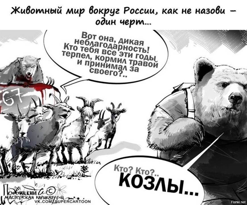 Картинка смысл не меняет