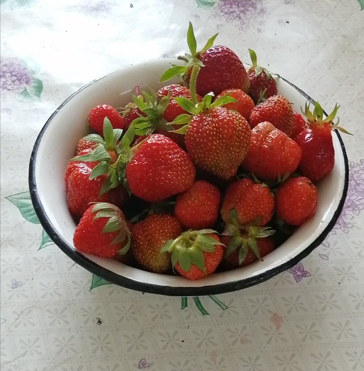 Первый урожай. 