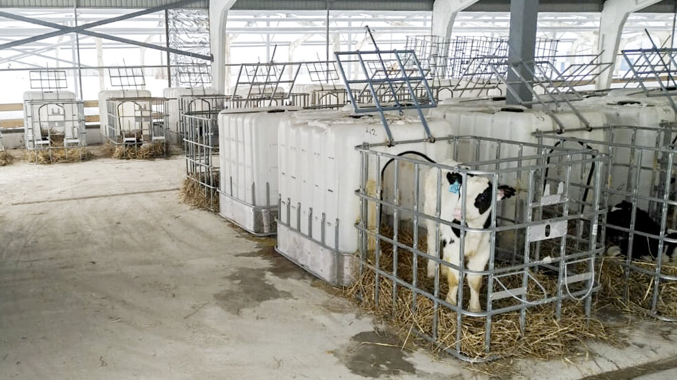 Индивидуальный домик для телят из Еврокуба - первый опыт изготовления нанашем производстве.