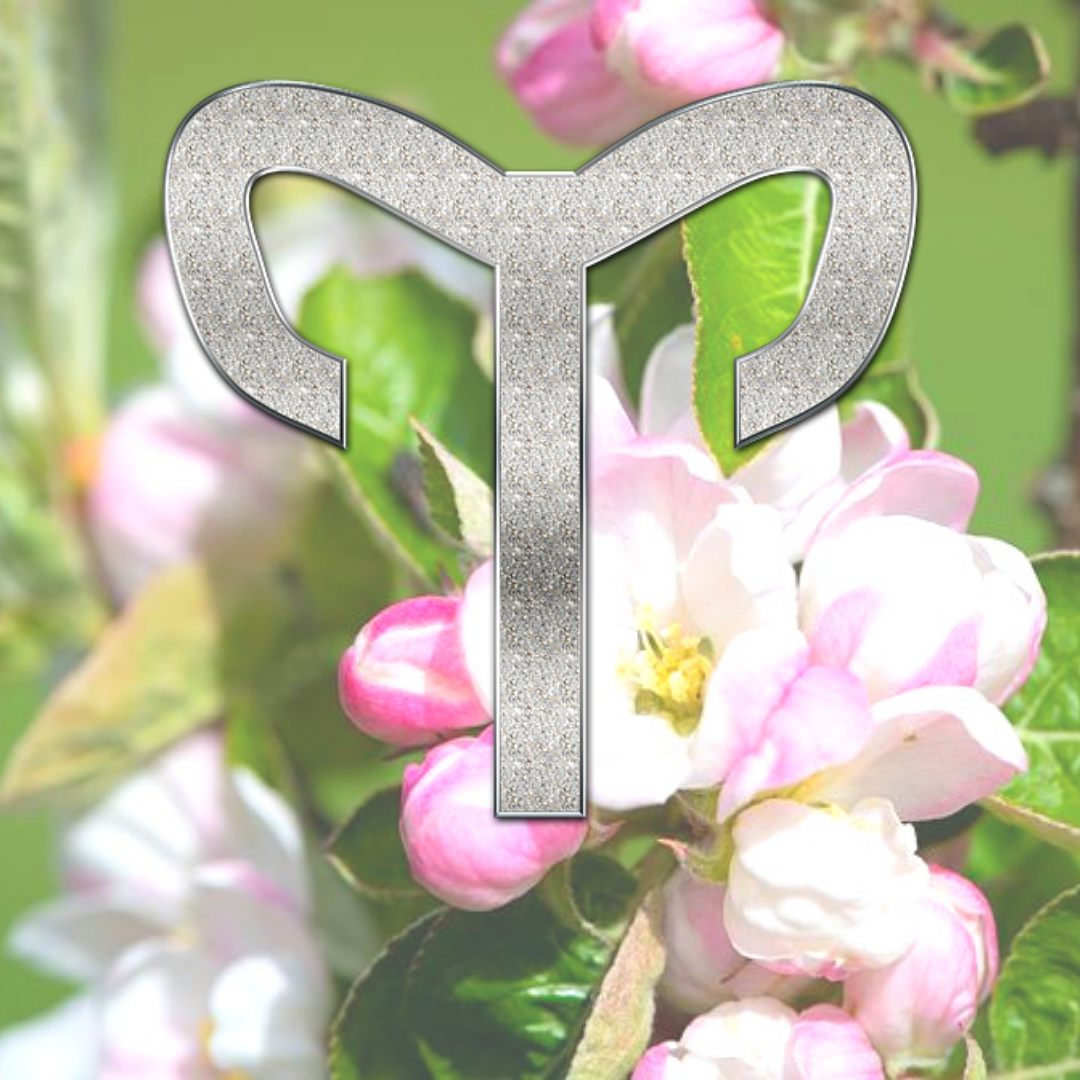 яндекс-картинки