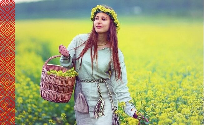 Фото из свободного доступа