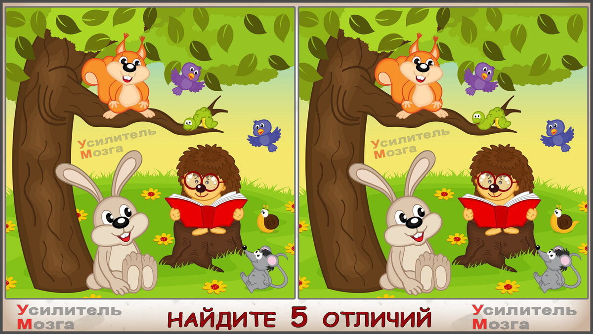 Найди 5 отличий книга читать. Найди 5 отличий. найди отличия сказки. найди 5 отличий ответы. найди пять отличий ежик.