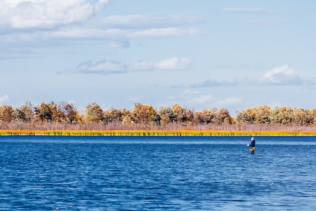 Холодная — река в России, протекает в Новосибирской области. Устье реки находится в 66 км по левому берегу реки Сузун. Длина реки составляет 27 км.