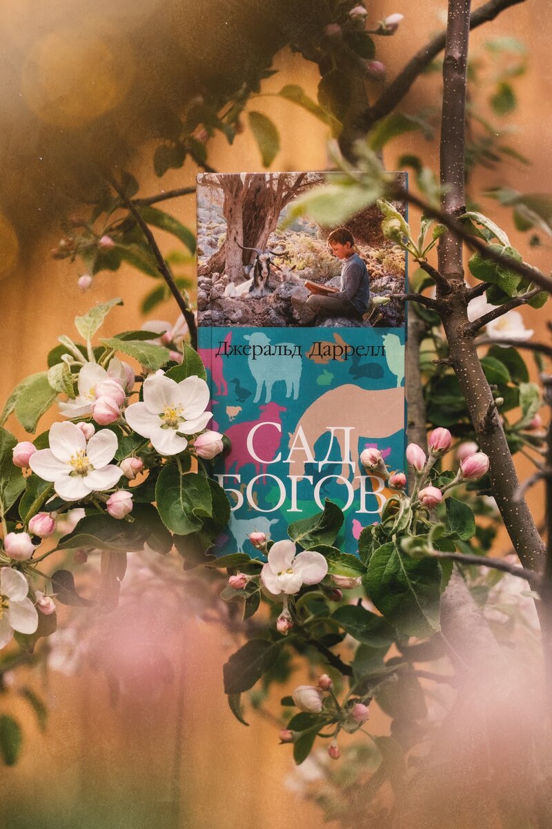 Издательство «Иностранка» (Азбука-Аттикус) 2022г.