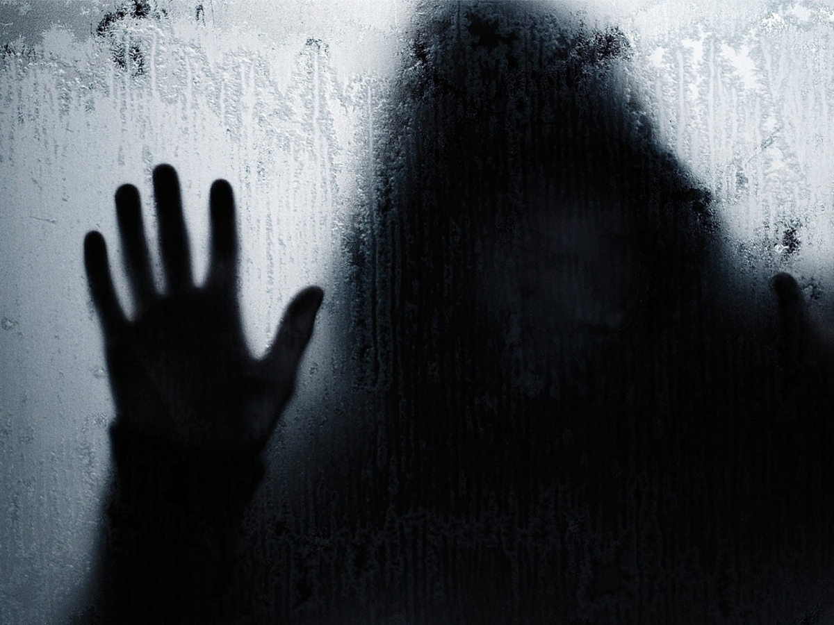 Источник фото - https://clck.ru/qFhB3