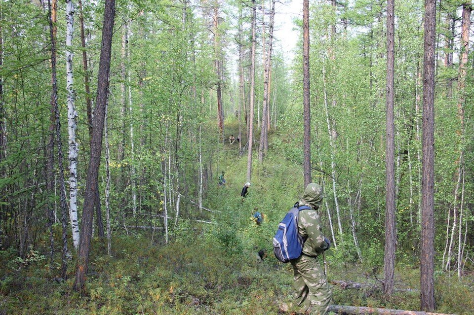     Места там гиблые : дикие звери, болота, насекомые. Фото Альберт Аммосов ГКУ Служба спасения РС (Якутия)