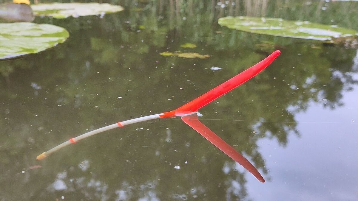 Фото с просторов интернета