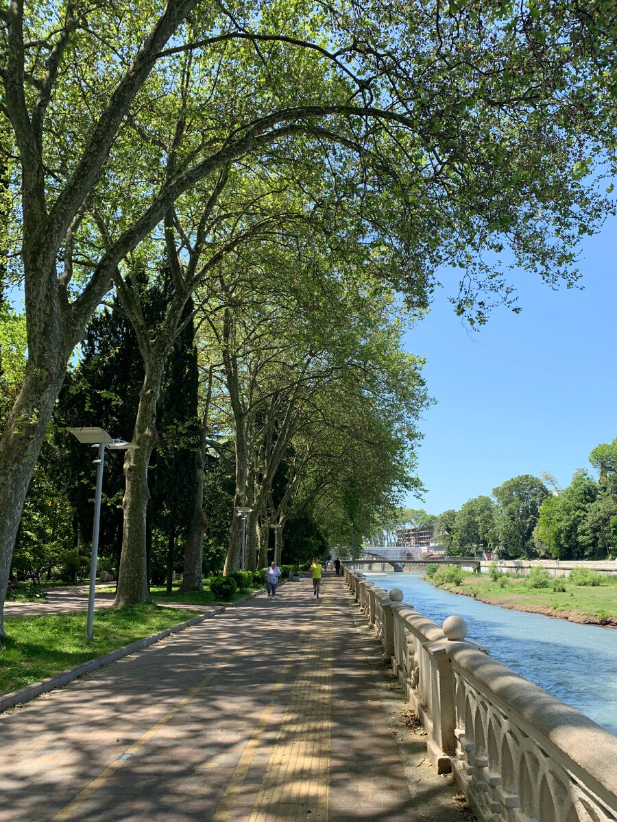 Моя любимая в Сочи улица - Конституции СССР 😍 Фото автора