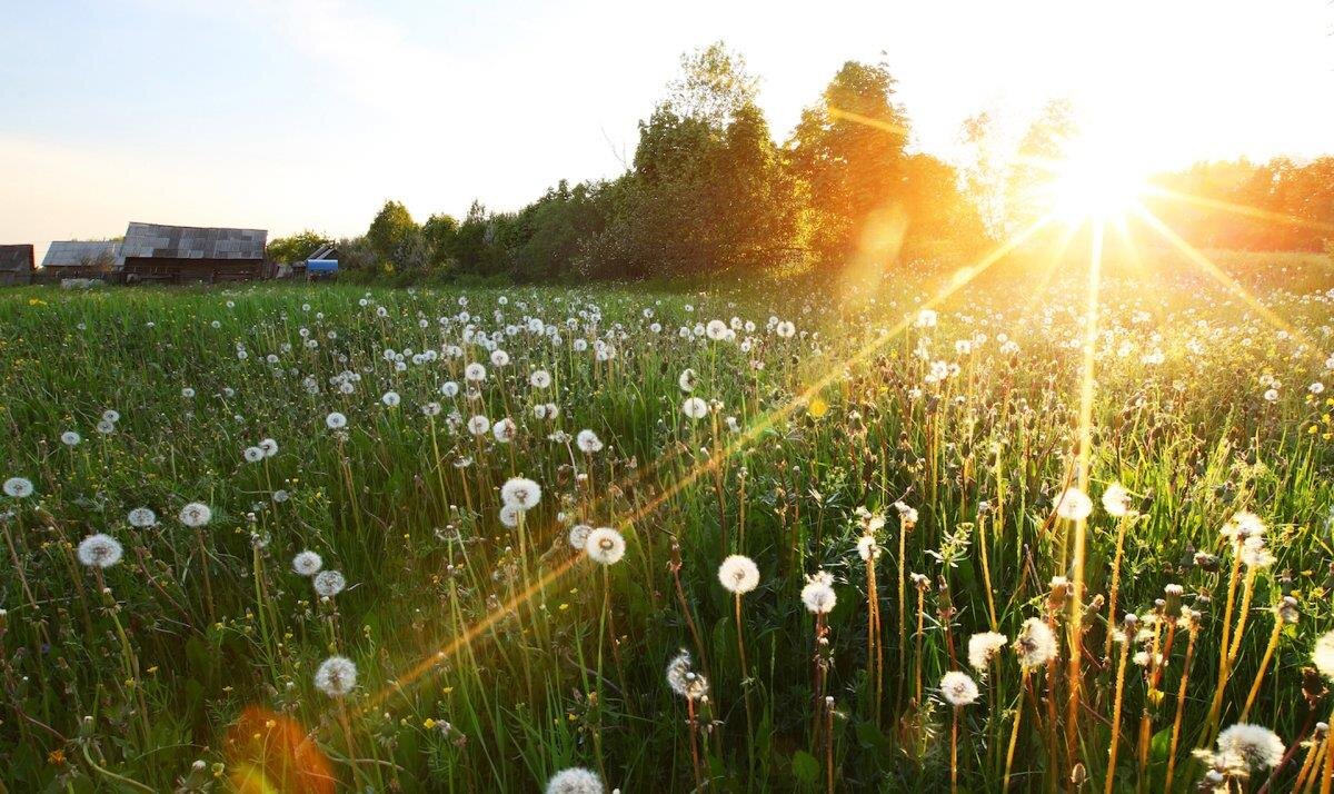 Фото — insider.az