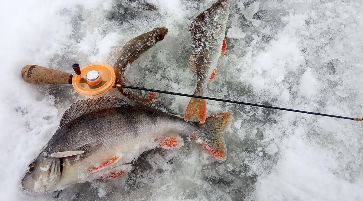 Оригинал фото: https://gruzarf.ru/wp-content/uploads/e/7/d/e7d0884a9e8863e213c4f1dca03889d0.jpeg
