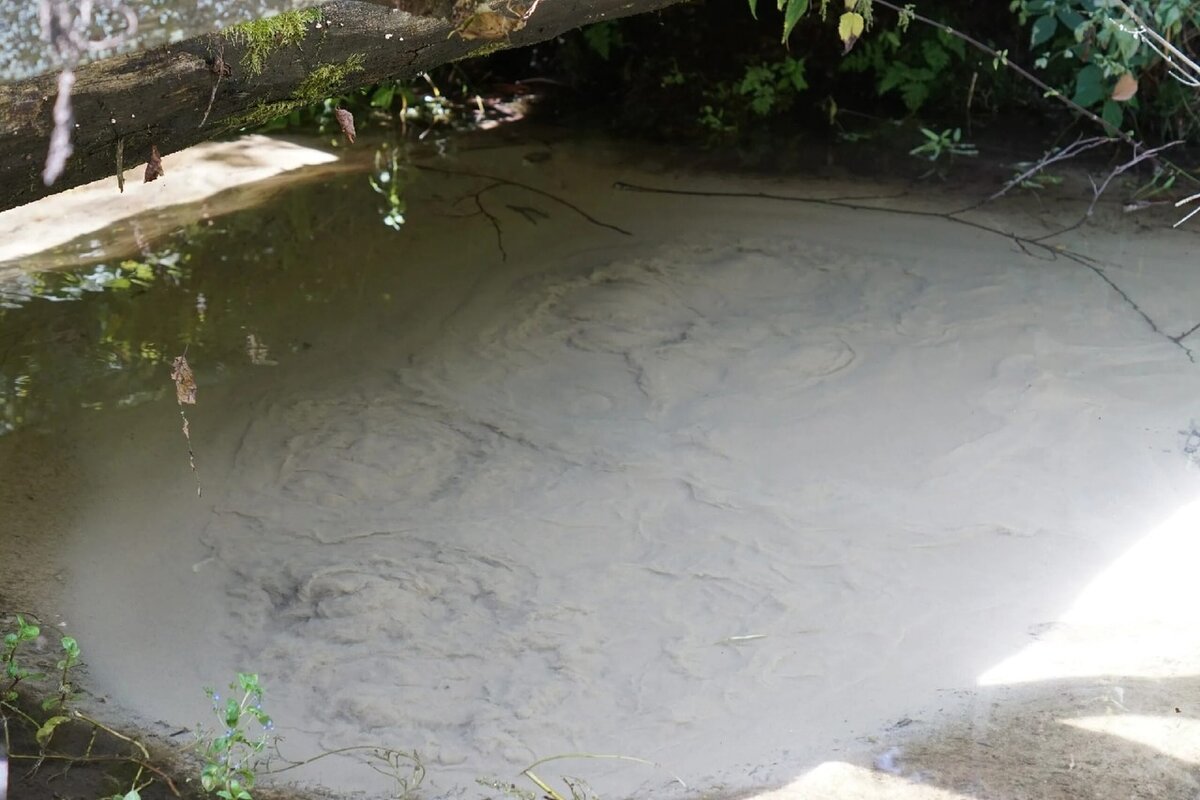 Родник в Юлово (фото с просторов интернета)