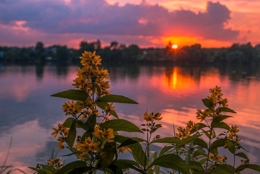 Источник фото:интернет