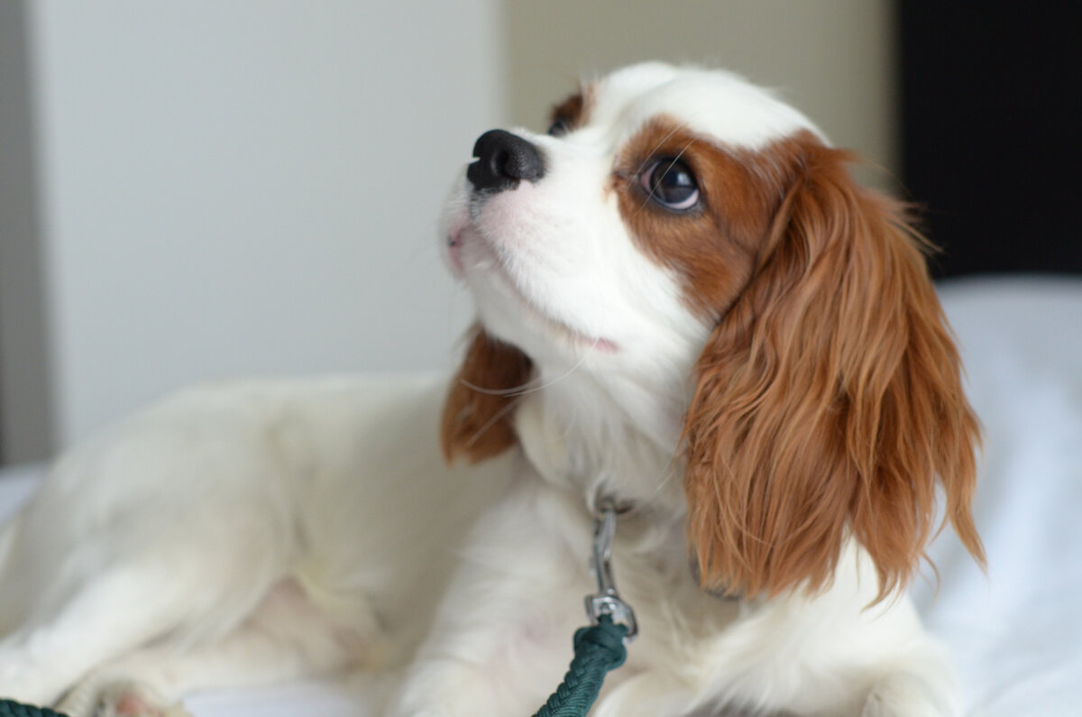 Марвел 1 год