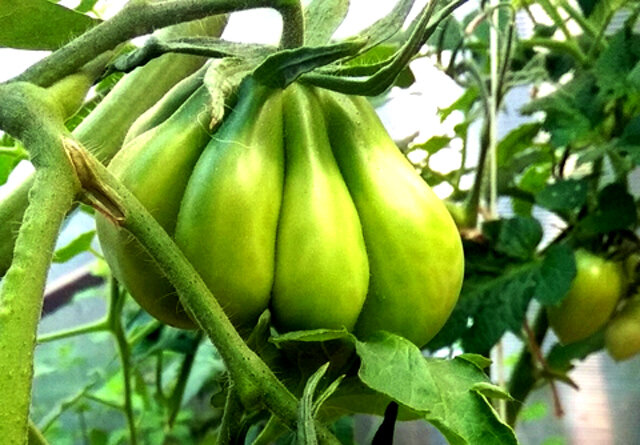 -2-2