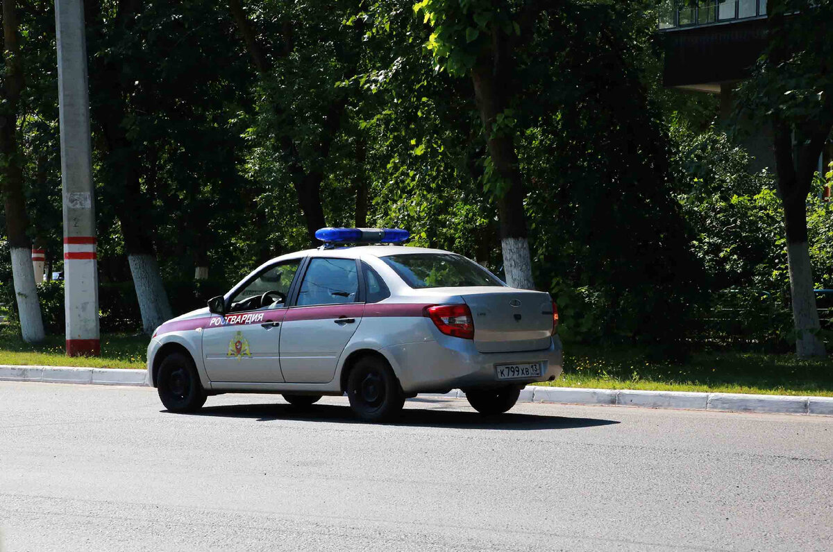 В Ардатовском районе Республики Мордовия росгвардейцы оказали содействие  сотрудникам ДПС в задержании пьяного водителя | Росгвардия. Приволжский  округ | Дзен