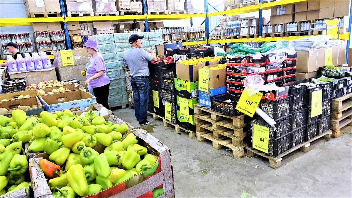 Фото автора канала Вера Ларина