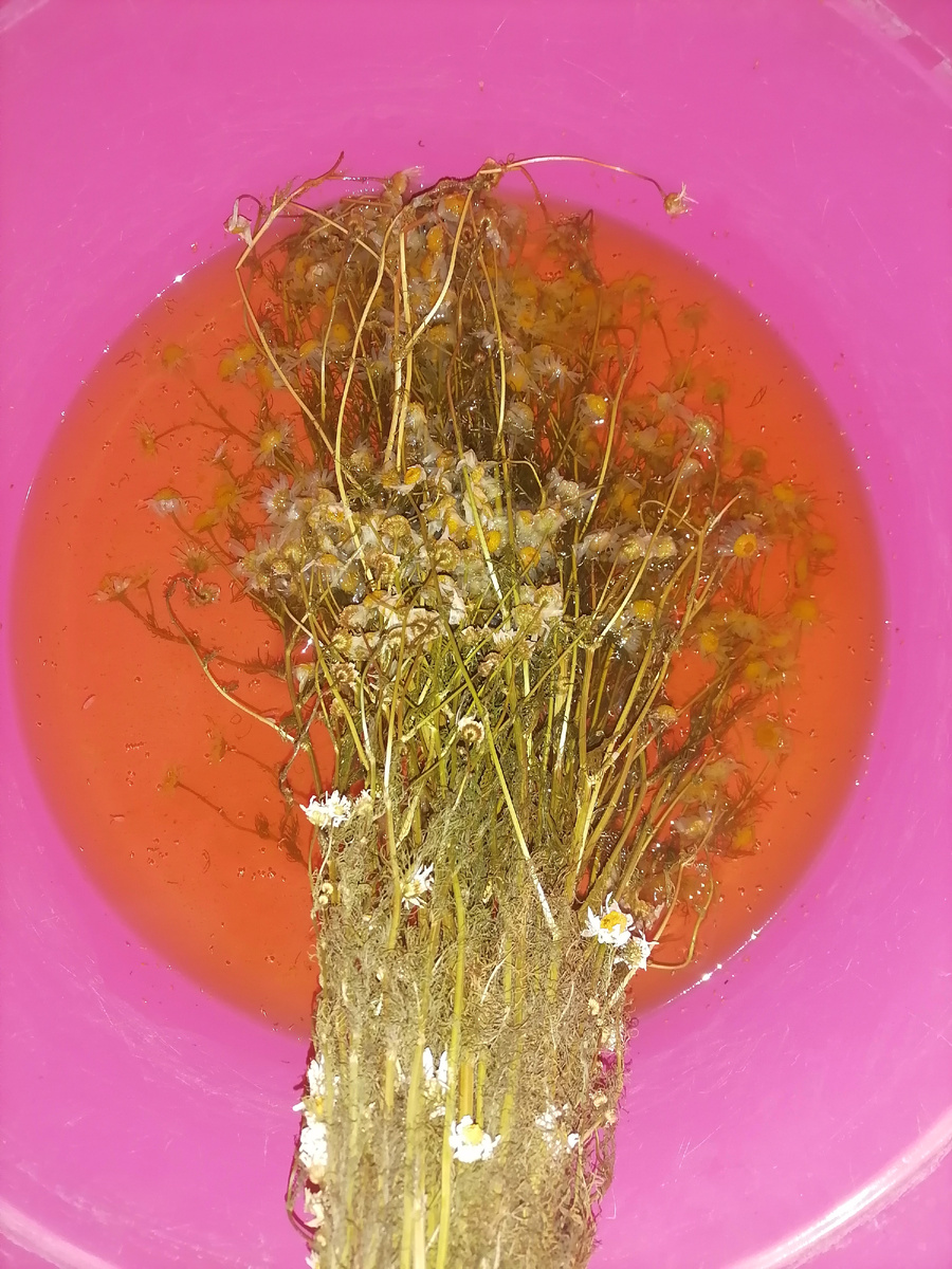 Ромашка, дышим ромашкой, ополаскивпем волосы после мытья головы 