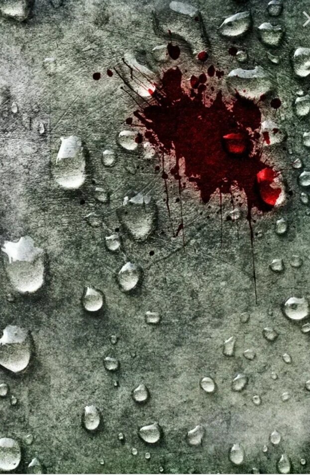 Яндекс картинки 