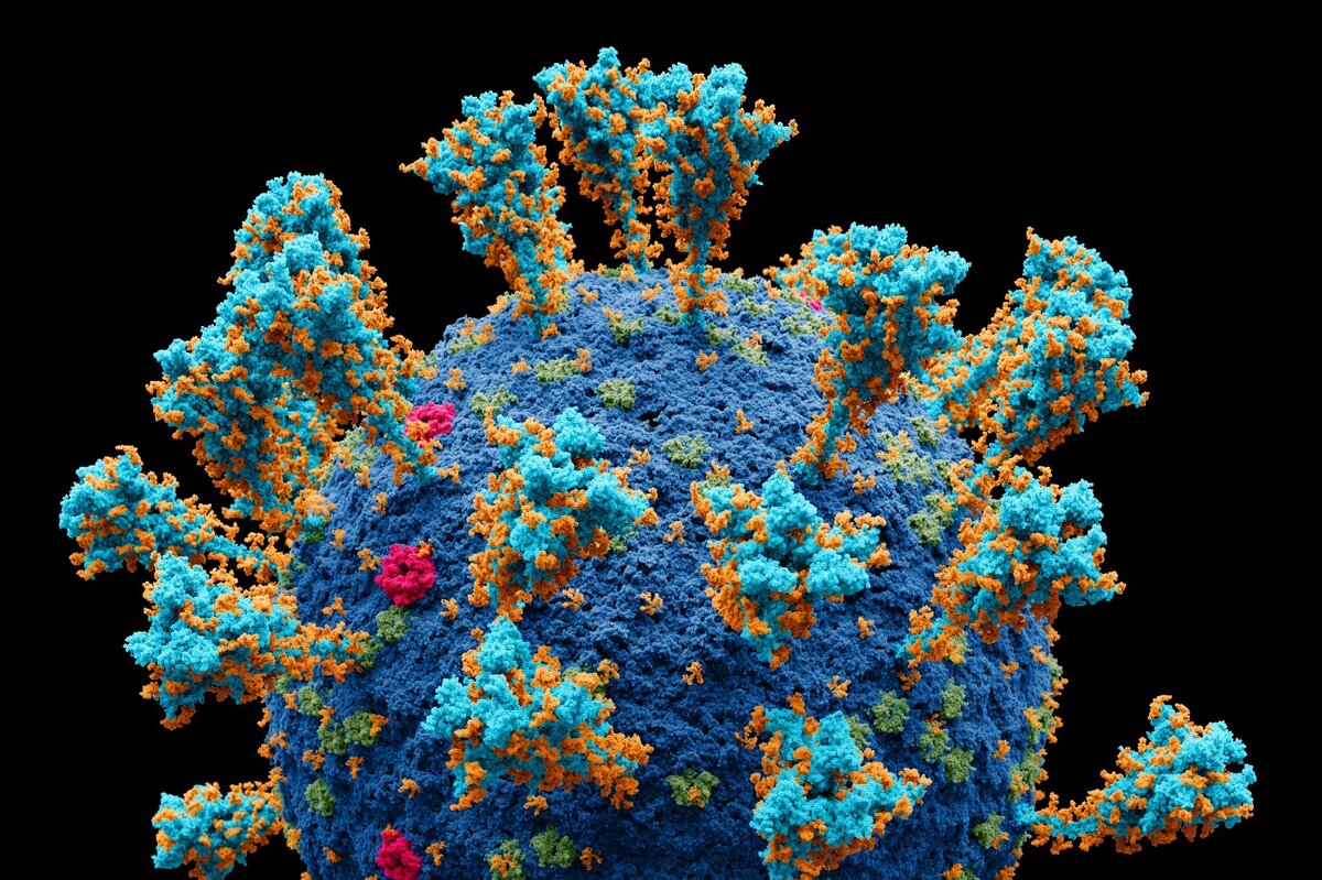     ИИ предсказывает самые опасные мутации коронавируса и предлагает варианты терапии антителами