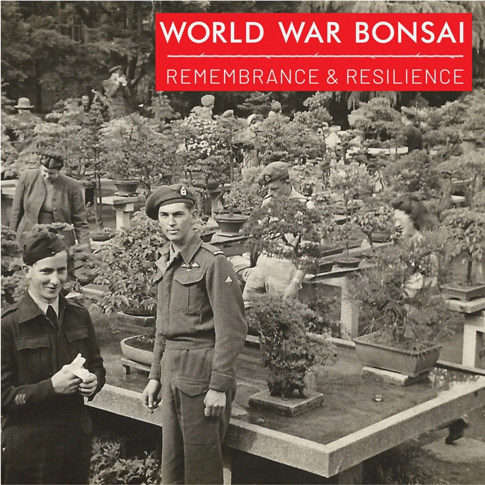 Постер выставки. 
Источник: https://pacificbonsaimuseum.org/on-view/exhibits/world-war-bonsai-remembrance-resilience/