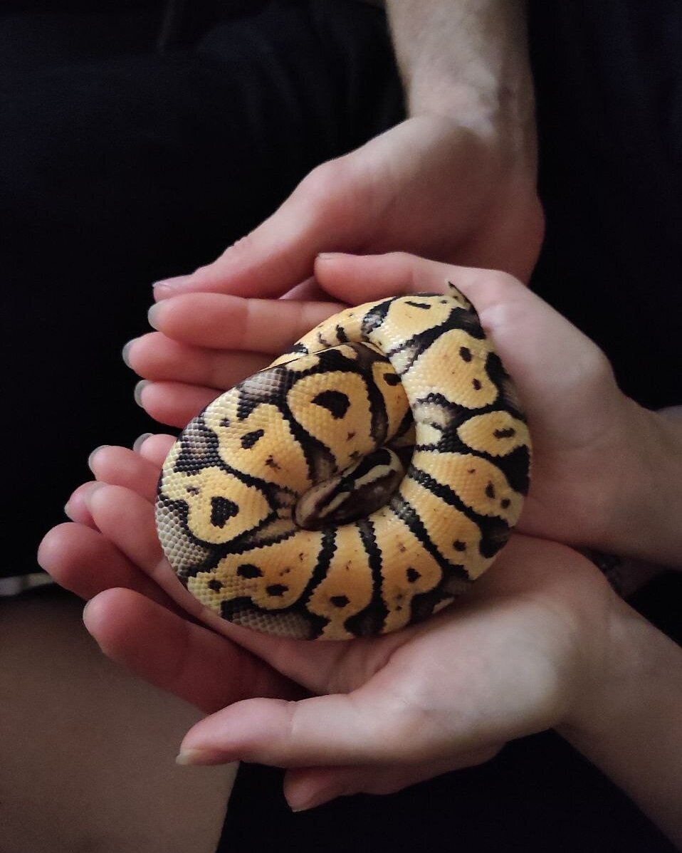 фото: из архива Екатерины Петрунинцевой, автора и создателя канала