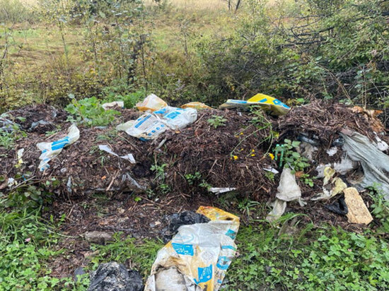     В Хабаровском крае найдено 46 незаконных свалок ФОТО: управление Россельхознадзора по Хабаровскому краю, Еврейской автономной и Магаданской областям