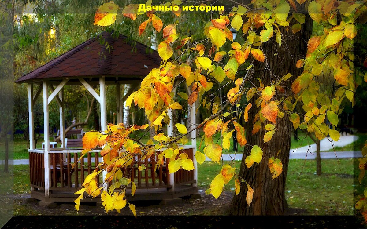 https://vk.com/photo-159774511_457255793
