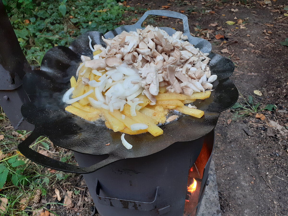 картошка с грибами, жареная на садже | Каша из топора или книга о вкусной,  но НЕ очень здоровой пище... | Дзен