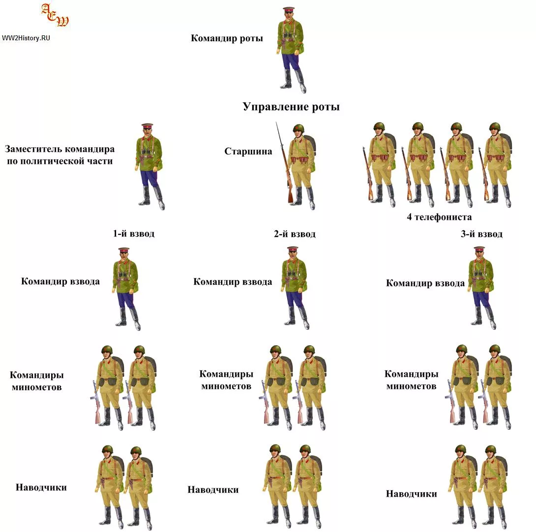 Рота сколько человек в роте. Численность роты батальона полка дивизии. Взвод рота батальон полк дивизия бригада. Батальон бригада полк дивизия. Отделение взвод рота батальон полк бригада.