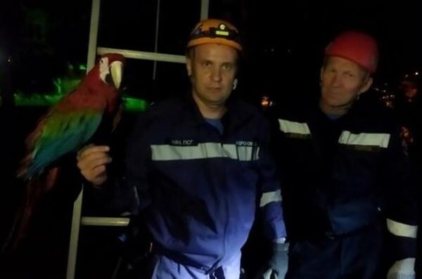 Источник фото: "КП - Ростов", управление ГО и ЧС Ростова