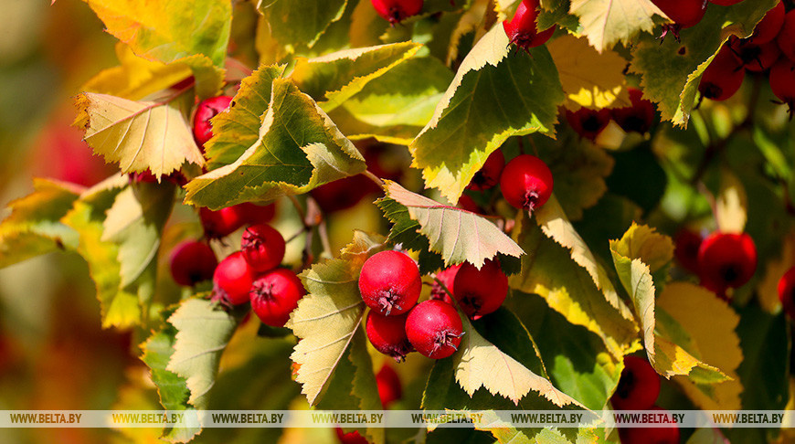    Фото из архива