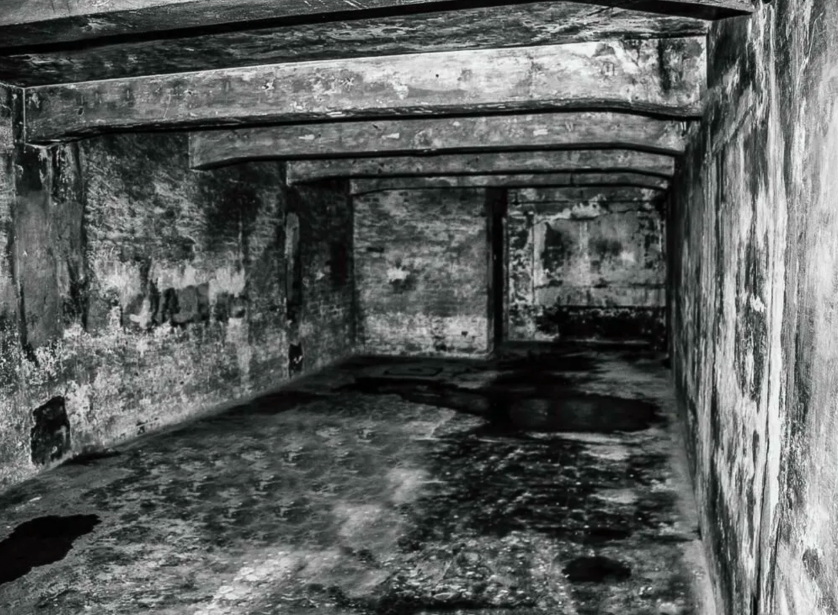 Газовая камера.