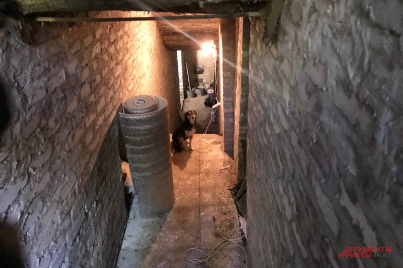    Фото:  АиФ/ Дмитрий Григорьев