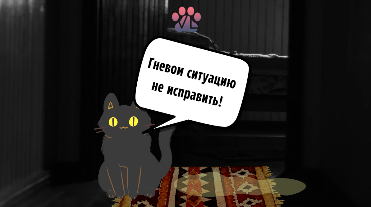 Что делать если кошка ходит мимо лотка