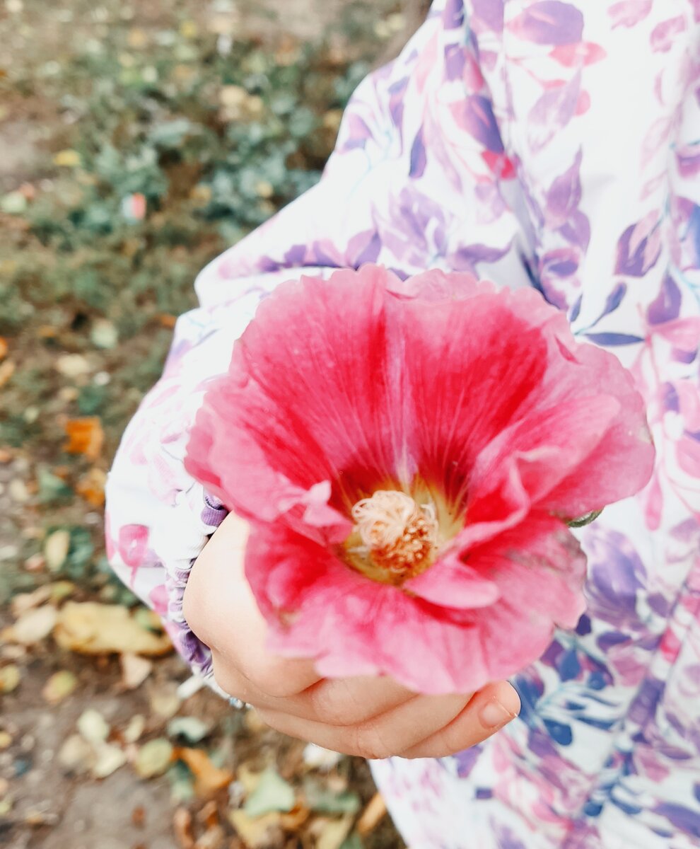 Фото с прогулки