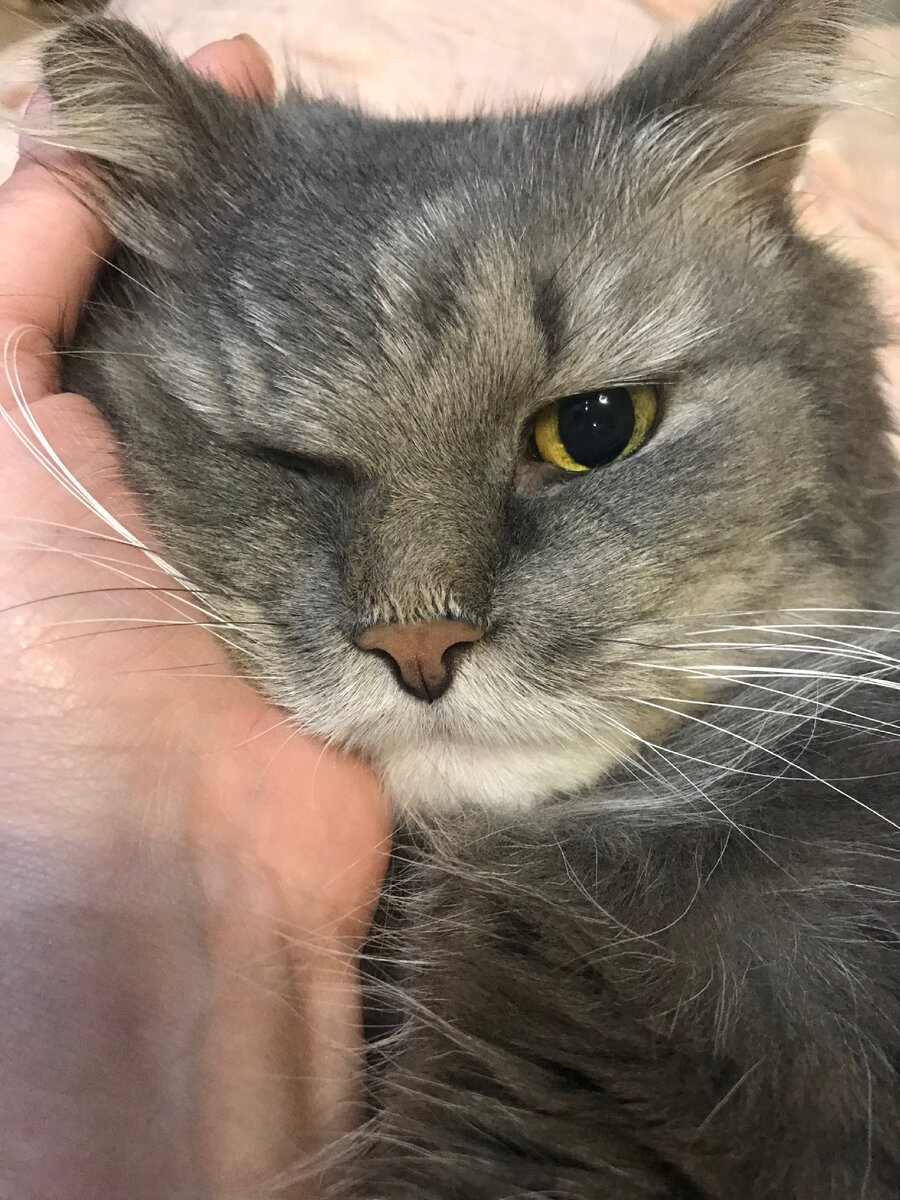 Все фото Автора канала.