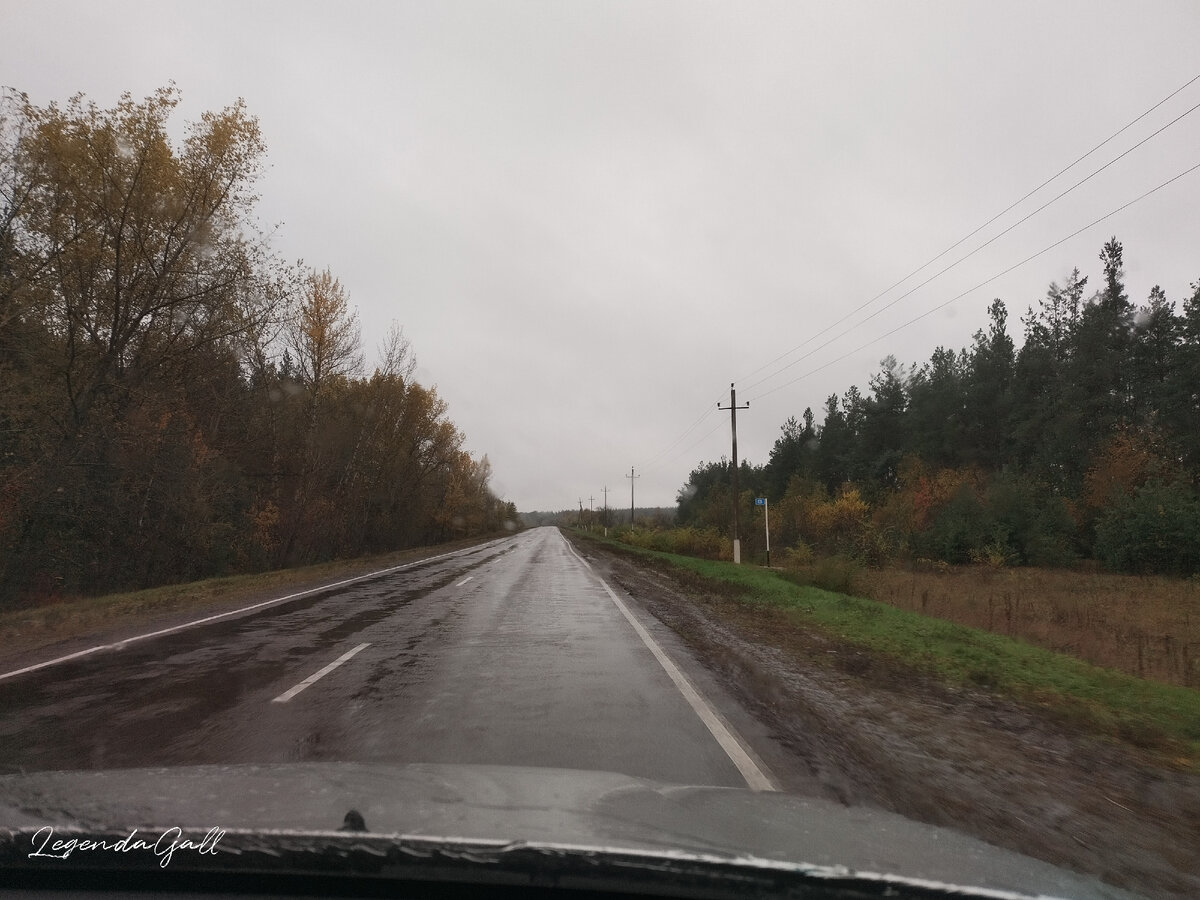 Мокрая дорога. Дождь идет