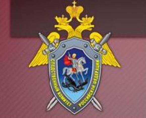   sledcom.ru/