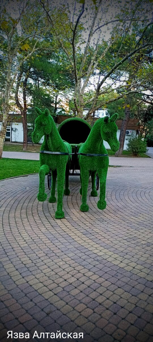 Красивые кони