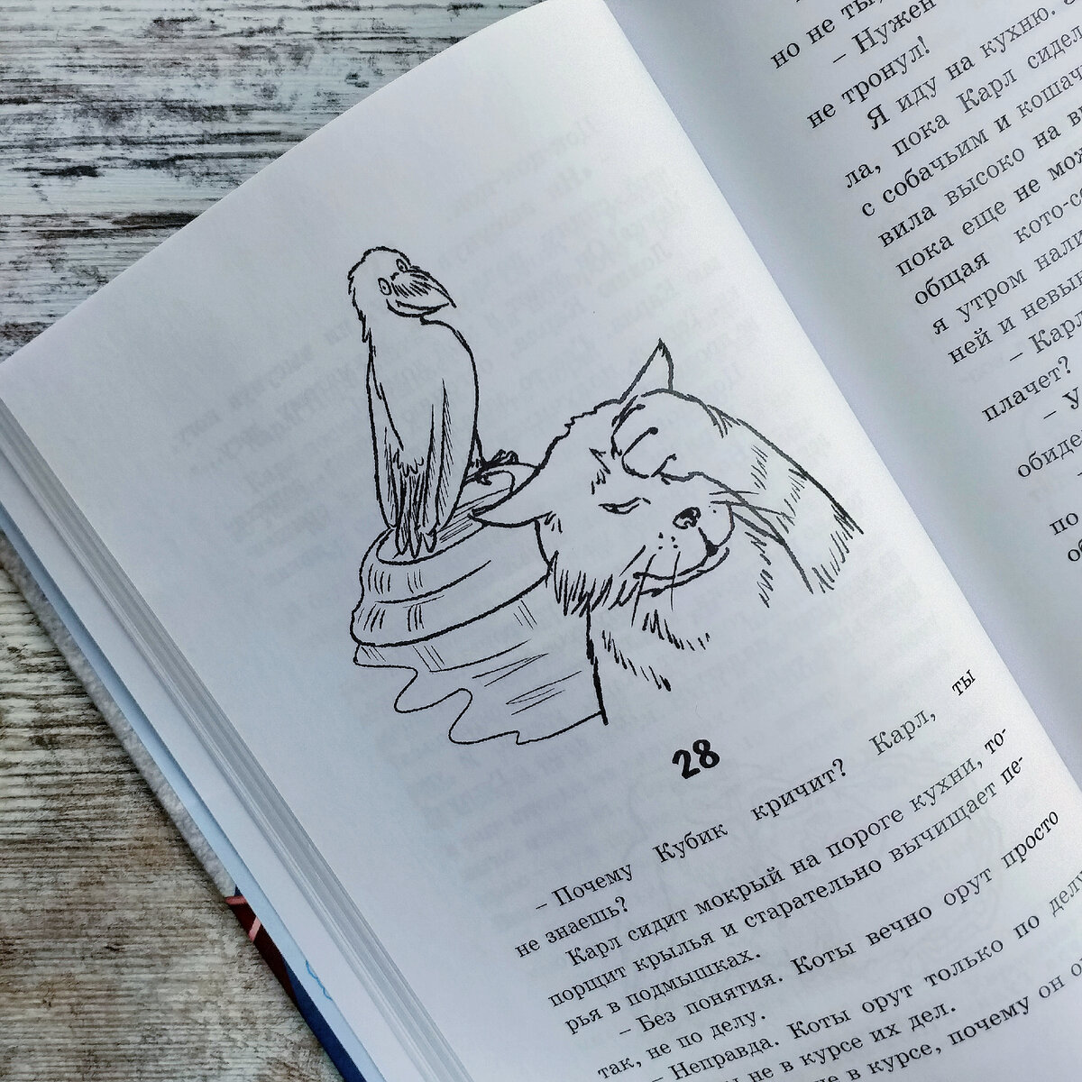 Личное фото автора канала 