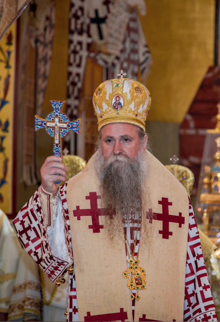 Митрополит Черногорско-Приморский Иоанникий (Мичович)