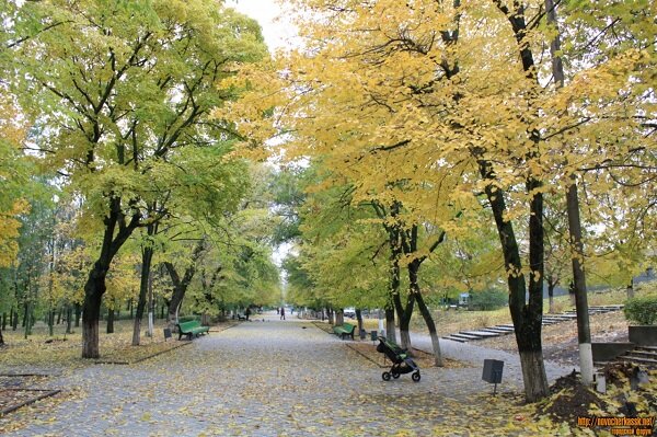 Осень в Новочеркасске. Фото novocherkassk.net