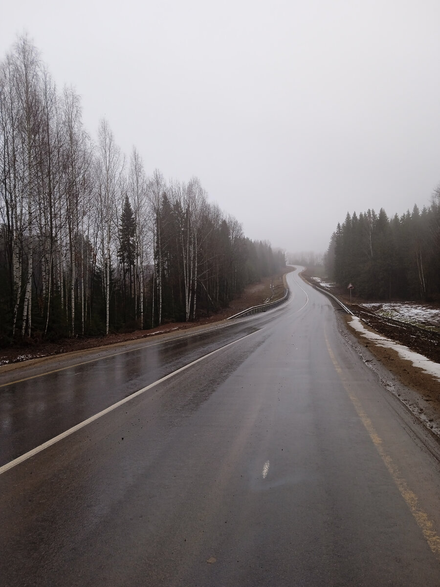 Фото с запахом леса, дождя, мокрой коры, земли, холода и асфальта...