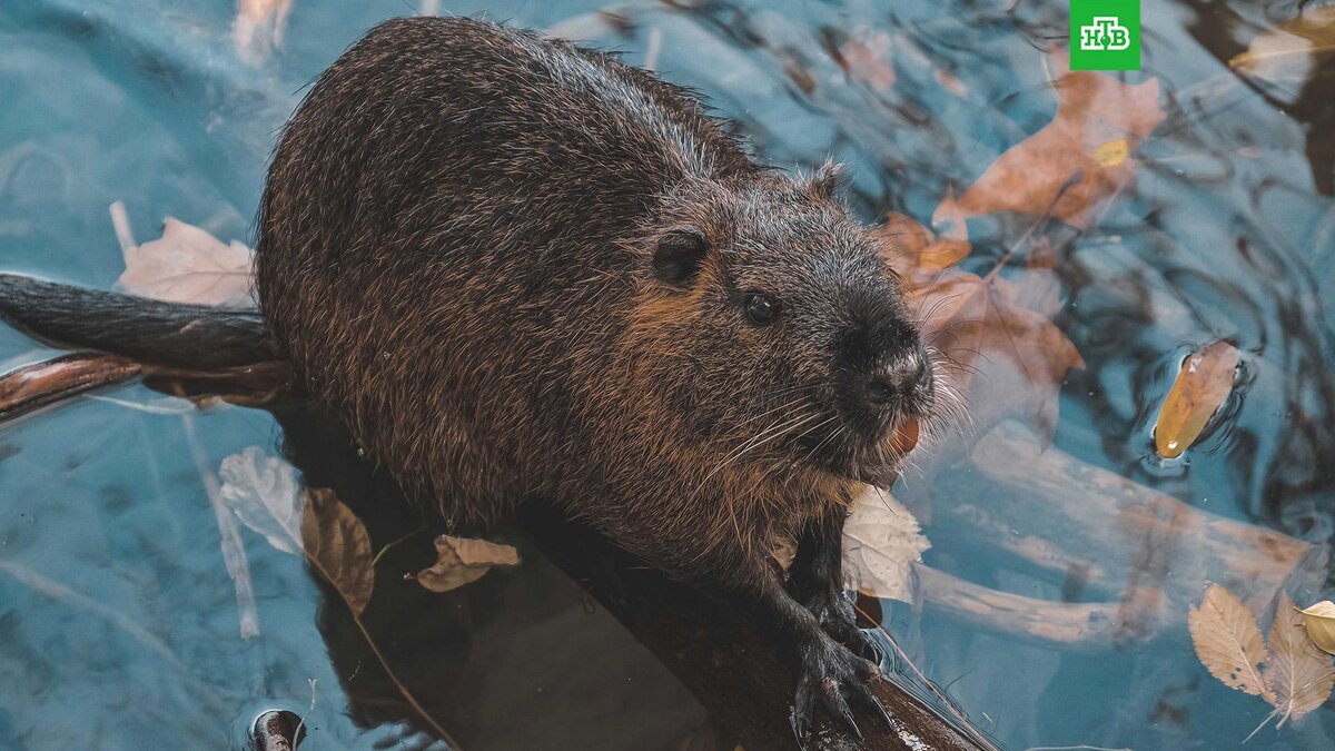    Фото: Francesco Ungaro / Unsplash