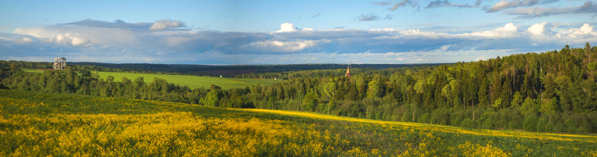 Ляпинские луга в Святогорье на пути к Гремячему Ключу