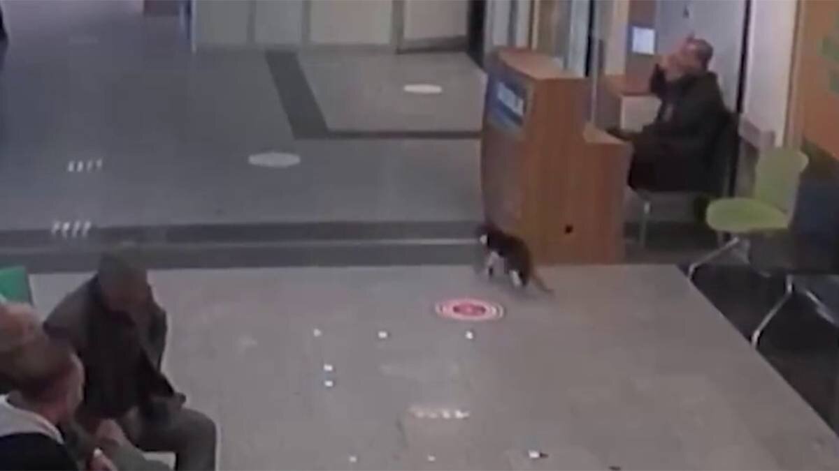    Фото: Telegram / Рен ТВ