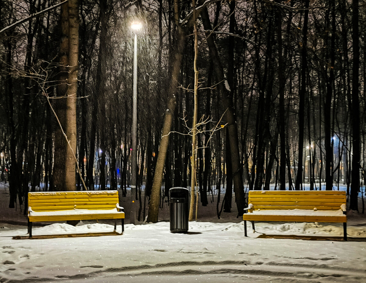 Ещё одна фотография из парка в Щукино.